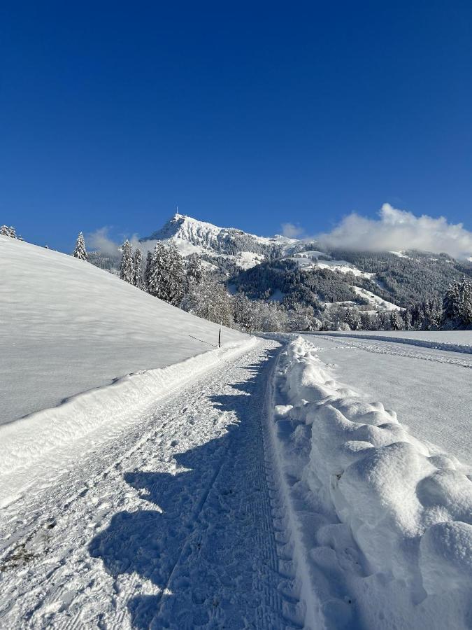 Waldnest Apartment Kitzbuhel Bagian luar foto