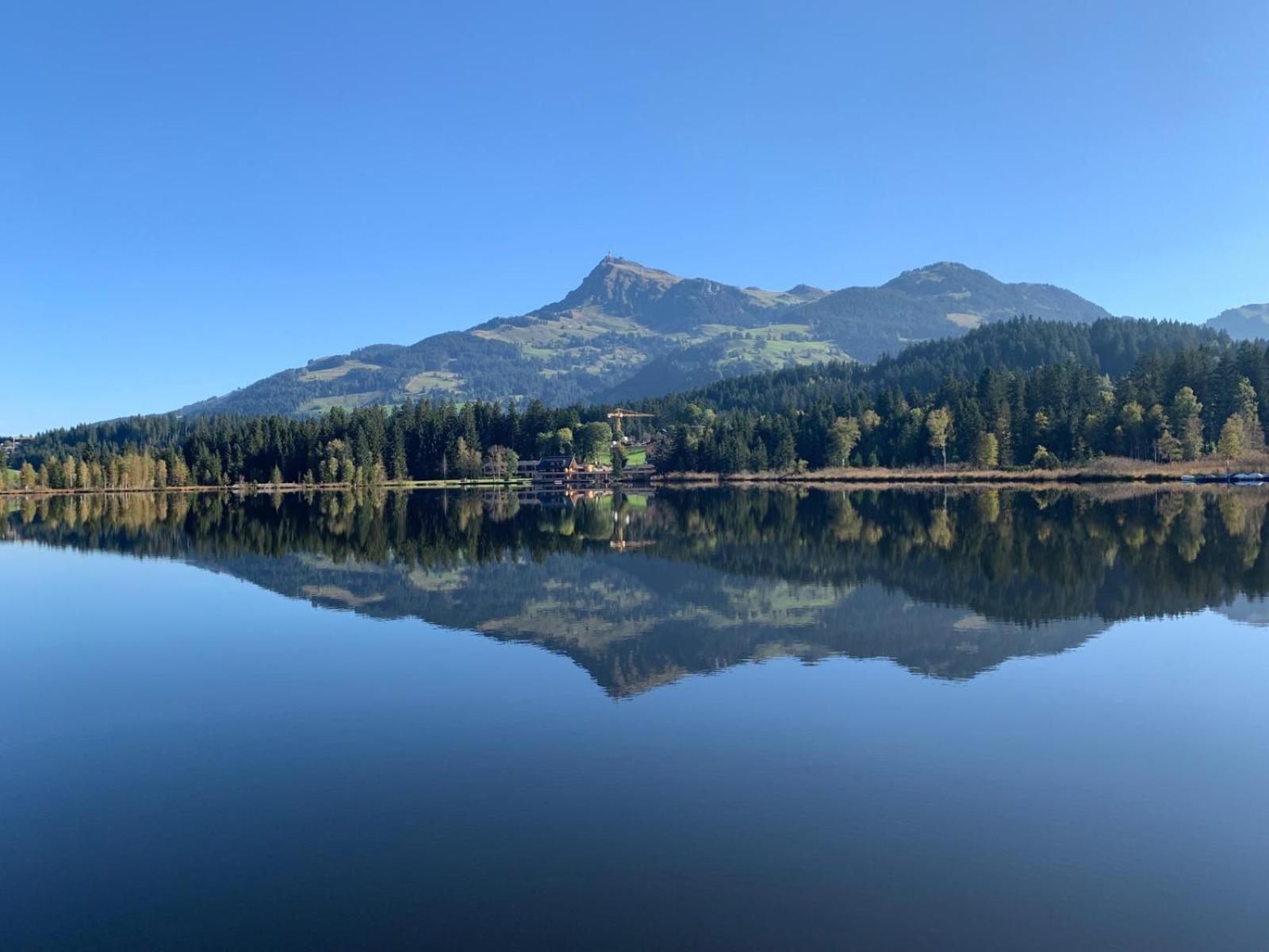 Waldnest Apartment Kitzbuhel Bagian luar foto